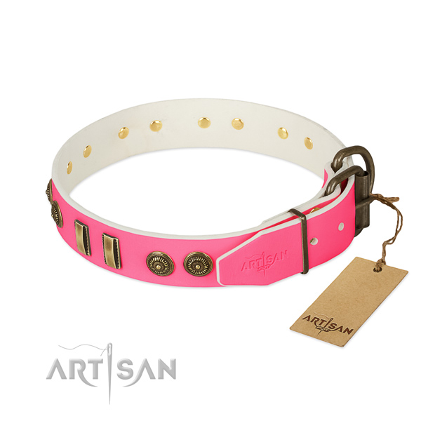 Reliable decorations on natural leather dog collar for your four-legged friend