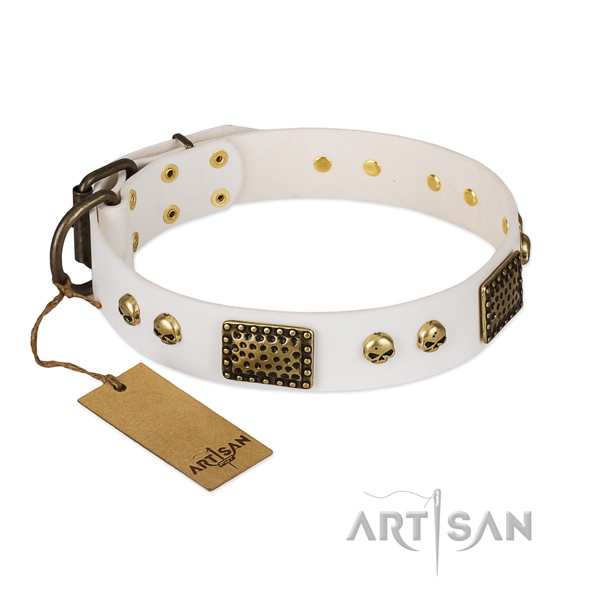 Reliable embellishments on walking dog collar