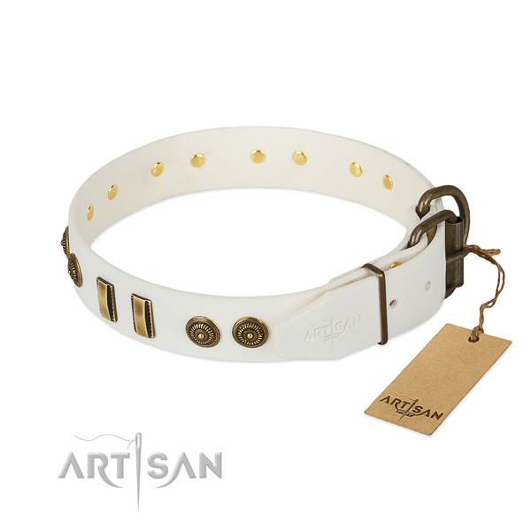 Rust resistant embellishments on full grain leather dog collar for your pet