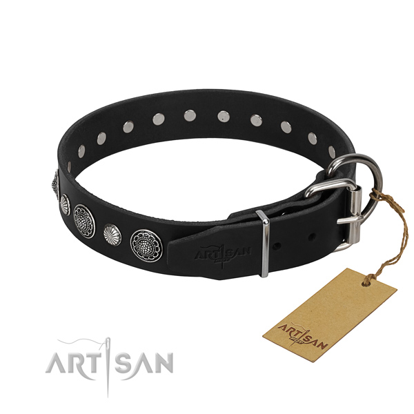 Top notch leather dog collar with remarkable adornments