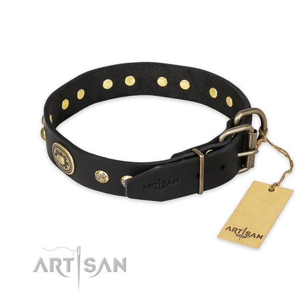 Rust resistant hardware on full grain natural leather collar for fancy walking your doggie