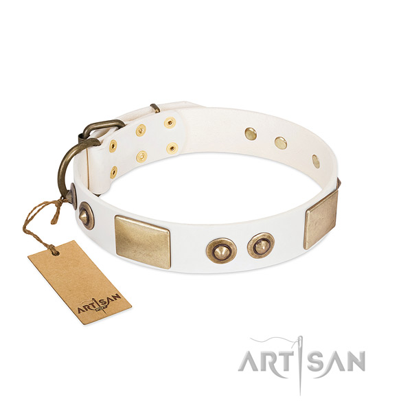 Rust-proof buckle on leather dog collar for your pet