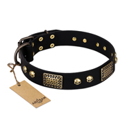 "Biker Style" FDT Artisan Black Leather Cane Corso Collar with Old Bronze Look Plates and Skulls "Biker Style" FDT Artisan Black Leather Cane Corso Collar with Old Bronze Look Plates and Skulls