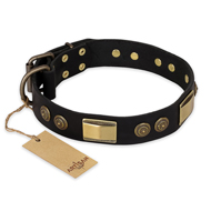 "Ancient Egypt" FDT Artisan Leather Cane Corso Collar with Old Bronze Look Decorations "Ancient Egypt" FDT Artisan Leather Cane Corso Collar with Old Bronze Look Decorations