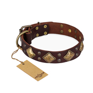 "Golden Square" FDT Artisan Brown Leather Cane Corso Collar with Large Squares