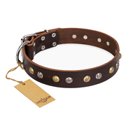 "Rare Flower" FDT Artisan Brown Leather Cane Corso Collar Adorned with Old-look Hemisphere Studs