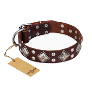 "King of Grace" FDT Artisan Stylish Leather Cane Corso Collar with Old Silver-Like Plated Decorations