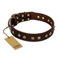 "Fashion Studs" FDT Artisan Decorated Leather Cane Corso Collar with Old Bronze-Plated Steel Hardware