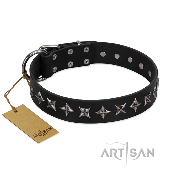 Fancy walking dog collar of fine quality natural leather with decorations