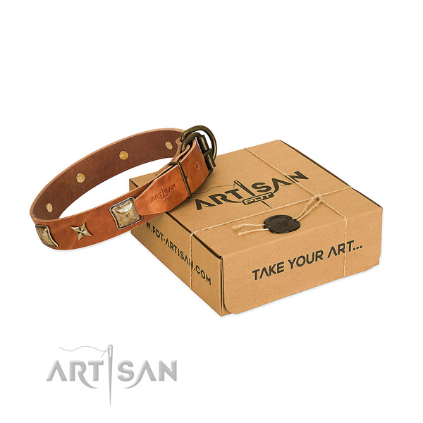 Stylish full grain natural leather collar for your attractive dog