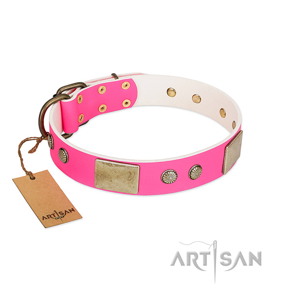 Easy adjustable leather dog collar for daily walking your dog