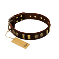"Golden Elegance" FDT Artisan Brown Leather Cane Corso Collar with Old Bronze-like Decorations