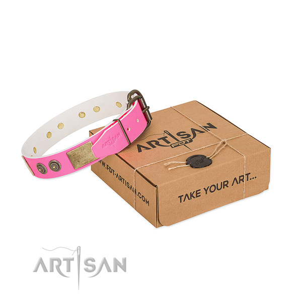 Rust resistant buckle on leather dog collar for daily walking