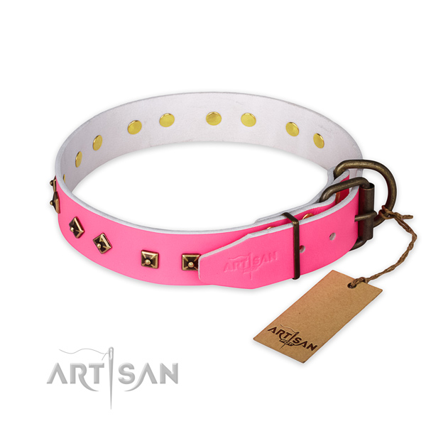 Reliable traditional buckle on leather collar for stylish walking your dog