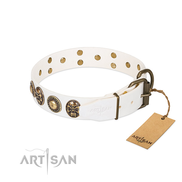 Reliable hardware on stylish walking dog collar