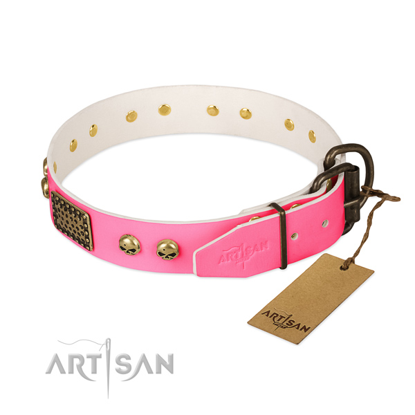 Rust resistant hardware on everyday walking dog collar
