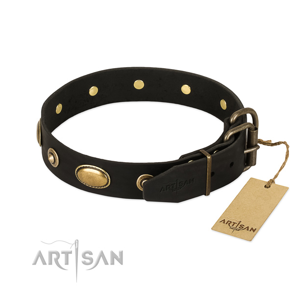 Durable traditional buckle on leather dog collar for your canine