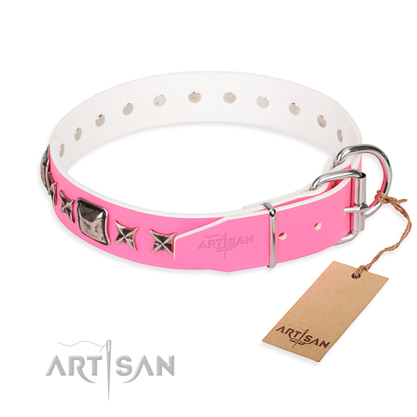 Top quality adorned dog collar of full grain natural leather