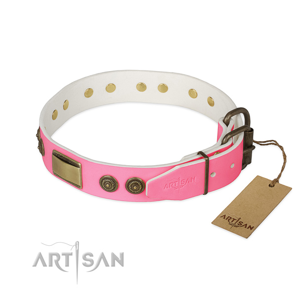 Rust resistant adornments on comfy wearing dog collar