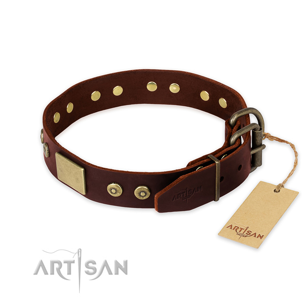 Rust resistant adornments on comfy wearing dog collar