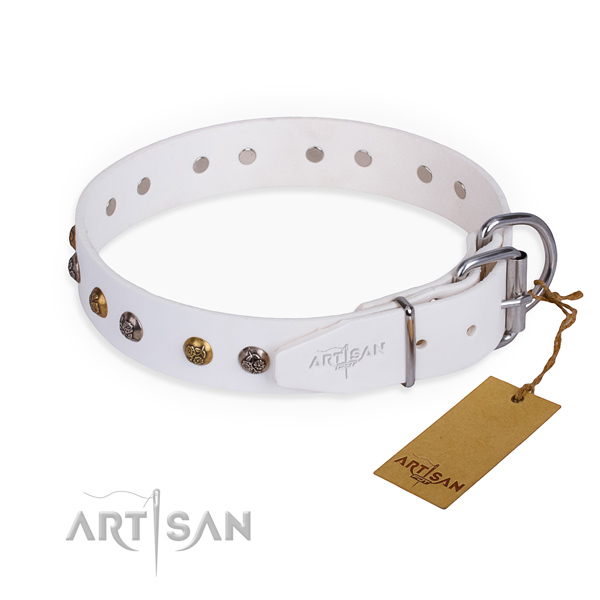 Full grain natural leather dog collar with remarkable reliable decorations
