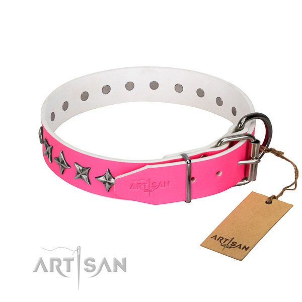 Top notch genuine leather dog collar with exceptional embellishments