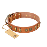 "Natural Beauty" FDT Artisan Tan Leather Cane Corso Collar with Old Bronze-like Circles and Plates