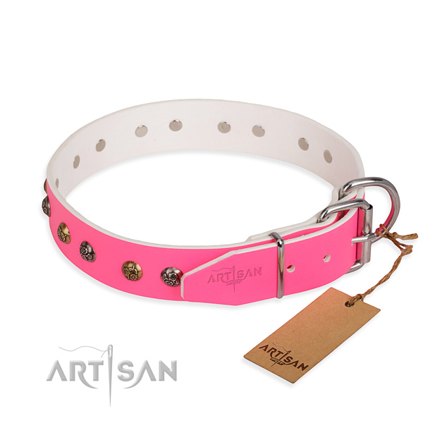 Natural leather dog collar with impressive rust-proof studs
