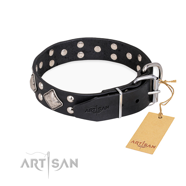 Natural leather dog collar with impressive rust-proof studs