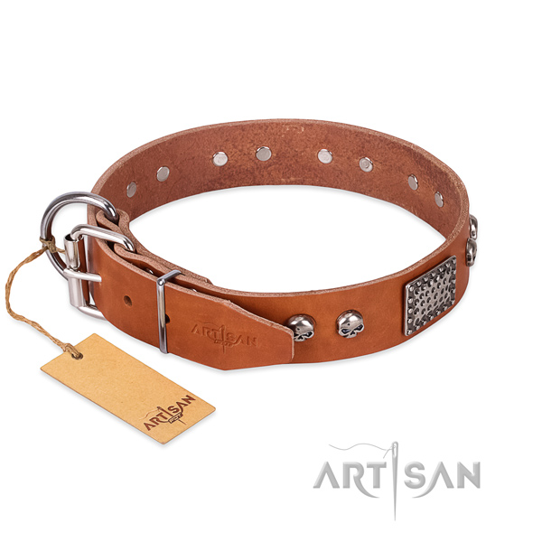 Rust-proof fittings on daily walking dog collar