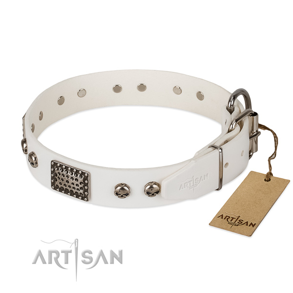 Rust-proof traditional buckle on everyday use dog collar