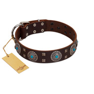 "Hypnotic Stones" FDT Artisan Brown Leather Cane Corso Collar with Chrome Plated Brooches and Square Studs