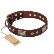 "Loving Owner" FDT Artisan Decorated Leather Cane Corso Collar with Plates and Studs
