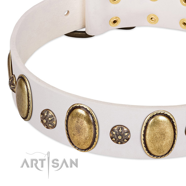 Fancy walking top rate full grain genuine leather dog collar