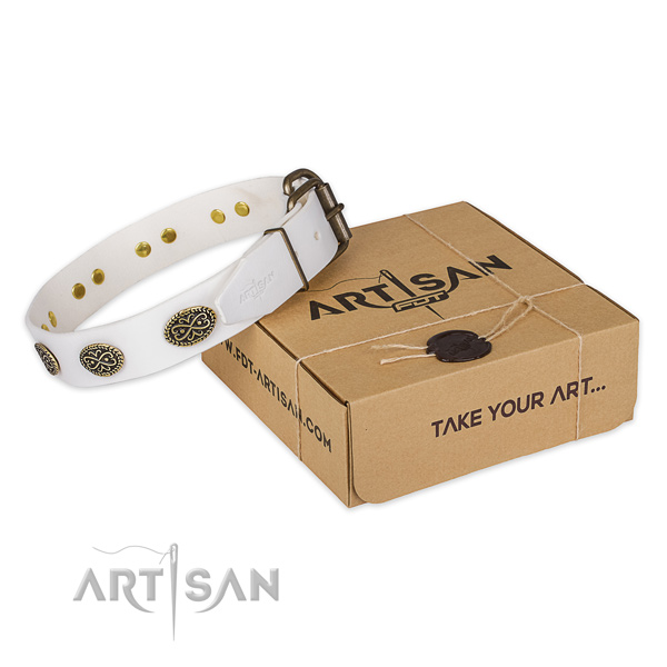Rust-proof D-ring on genuine leather dog collar for fancy walking