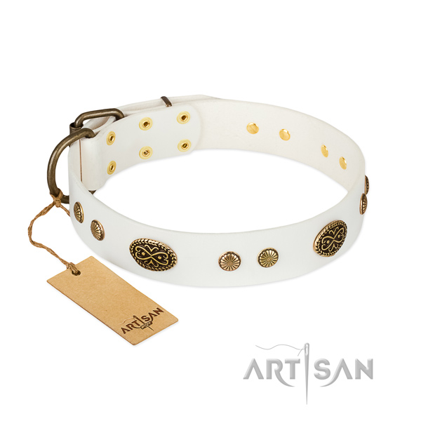 Strong traditional buckle on full grain genuine leather dog collar for your pet
