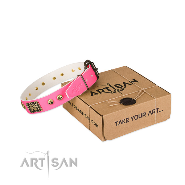 Rust-proof studs on dog collar for daily use
