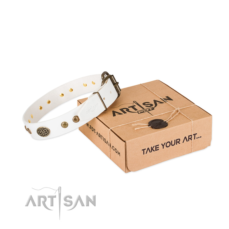 Corrosion proof traditional buckle on full grain genuine leather dog collar for your canine