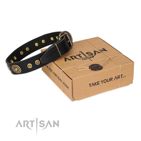 Full grain leather dog collar made of flexible material with rust resistant hardware