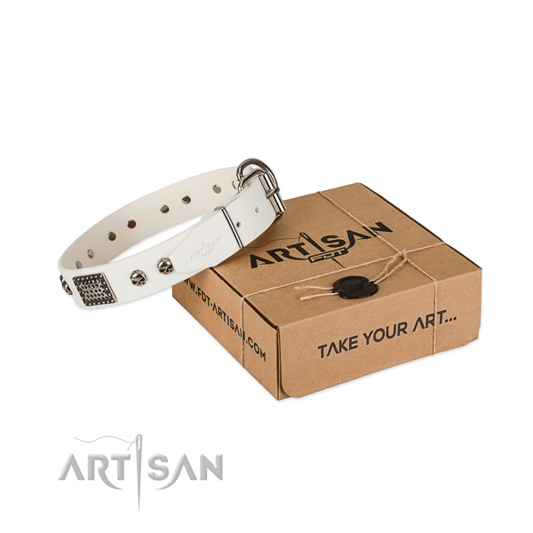Strong studs on dog collar for basic training