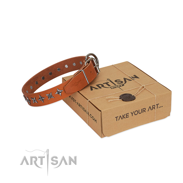 Stylish walking dog collar of durable full grain genuine leather with decorations