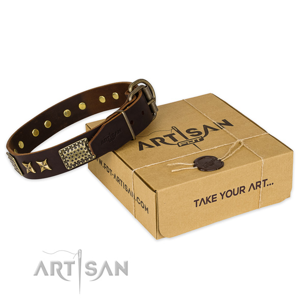 Corrosion resistant buckle on full grain leather collar for your attractive pet