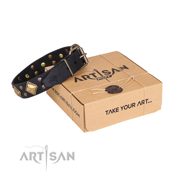 Comfortable wearing dog collar with Stunning strong adornments