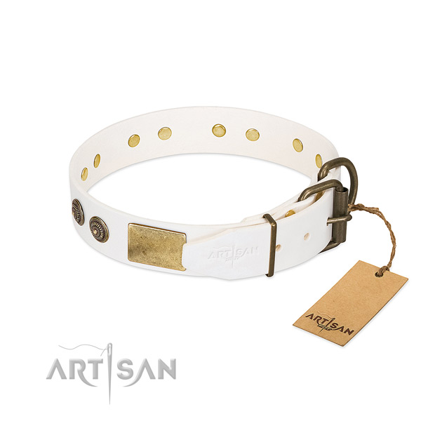 Reliable hardware on full grain natural leather collar for daily walking your canine