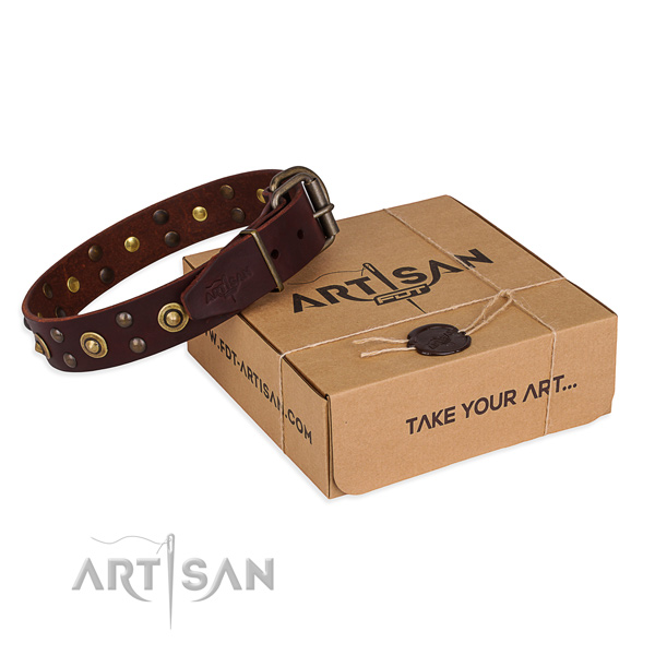 Corrosion proof traditional buckle on genuine leather collar for your lovely four-legged friend