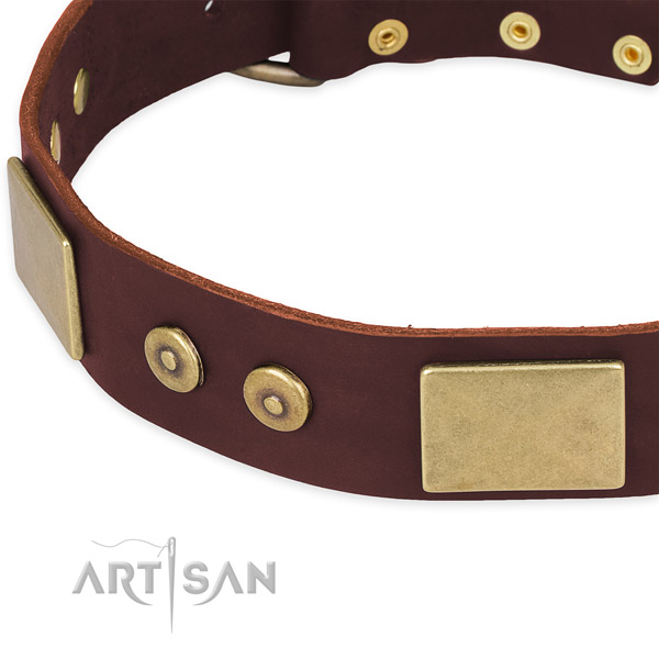 Genuine leather dog collar with studs for comfy wearing