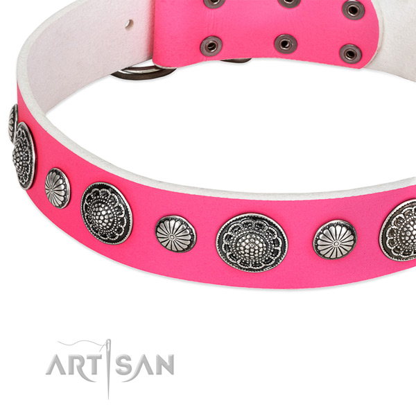 Natural leather collar with rust resistant buckle for your beautiful canine