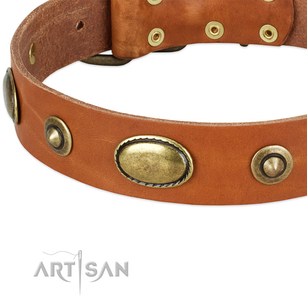 Corrosion resistant studs on full grain leather dog collar for your dog