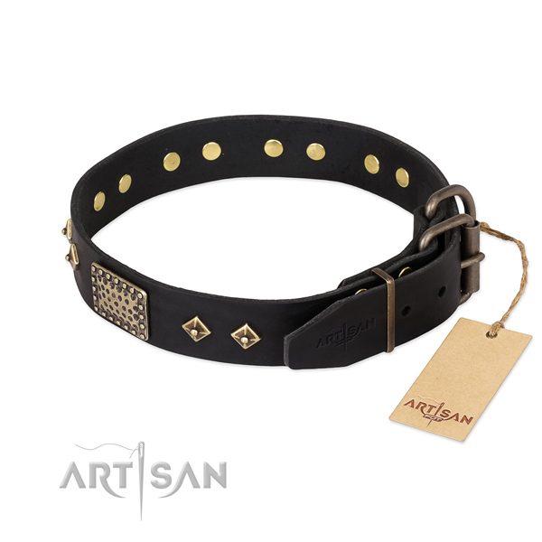 Genuine leather dog collar with durable hardware and adornments