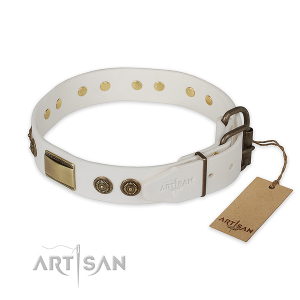 Rust resistant buckle on full grain leather collar for everyday walking your canine